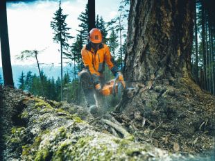 ��������� Husqvarna 576 XP (��� ���� � ����, ����.������) (965 17 58-01)