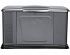   Briggs & Stratton G140 (40489)