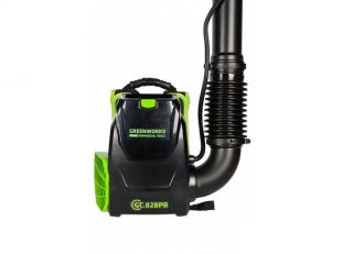 ���������� �������������� �������� Greenworks GC82BPB (2402507) ��� ��� � ��