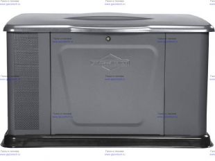 ��������� ������� Briggs & Stratton G110 (40491)