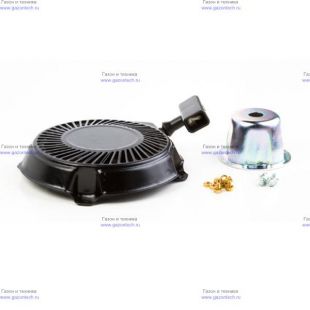 ������� � ����� Briggs&Stratton (591301)