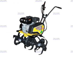 ��������������� Texas Lilli 534TG CE