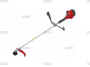 �������� Efco Stark 25