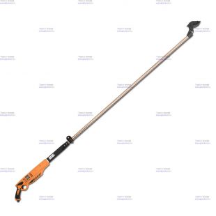 ������� �����. CAIMAN  (��� ������� � �.�.) CN-937 (00-010613-0012)