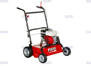 ������� ���������� Efco AG50 H60