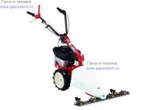 ����������� Eurosystems P-55 mod. M220 B&S 675 series (986000201)