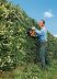 Бензоножницы Stihl HS 81 T (75 см) Бензоножницы Stihl HS 81 T (75 см)
