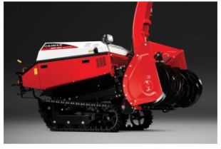 ������������ CAIMAN Edo 40Y  (01-011402-0009)