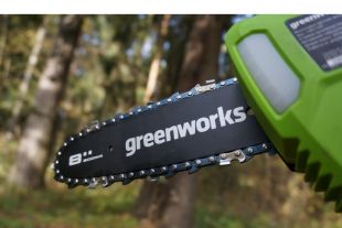 - . Greenworks G40PSF (1401107)    