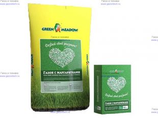 ����� � ������������ GREEN MEADOW "������ ���� �������" 1 ��